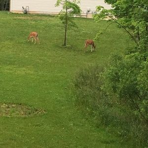 Meet your Posher, Fatou-lateef